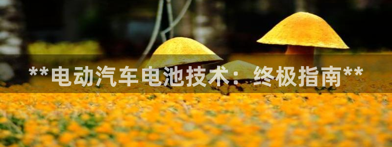优发国际官网手机号