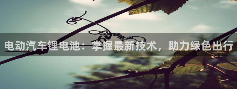 优发国际网站
