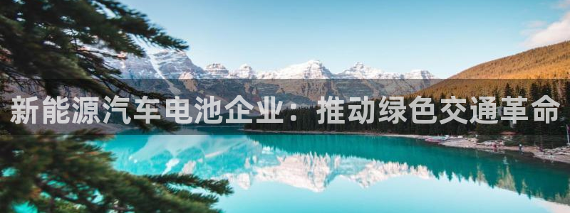 优发国际是大平台吗知乎