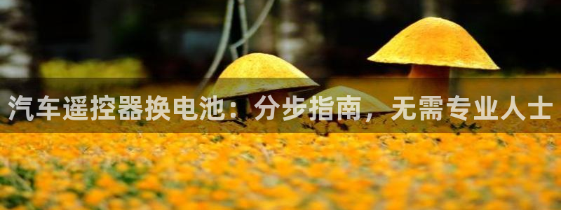 优发国际手机版下载安装