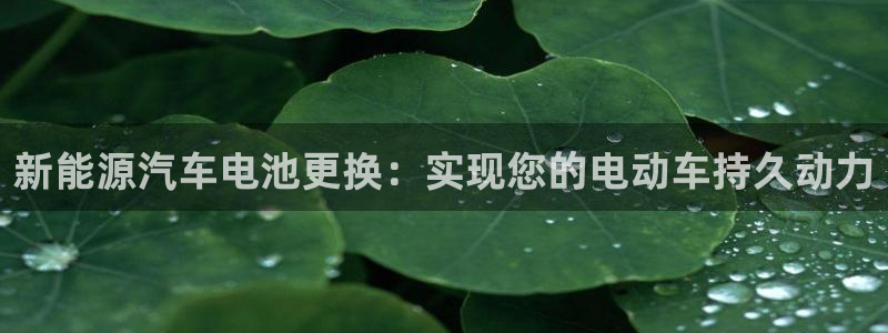 优发国际手机app下载安装
