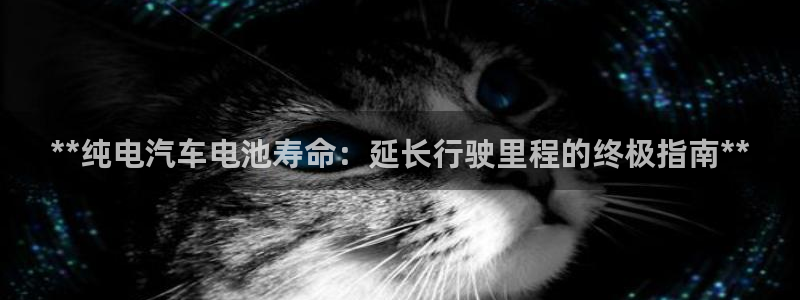 优发国际游戏17岁能玩吗
