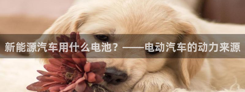优发国际官网首页入口