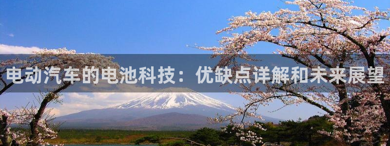 优发国际安卓版下载安装最新版