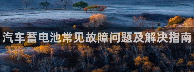 优发国际手机app下载安装官网