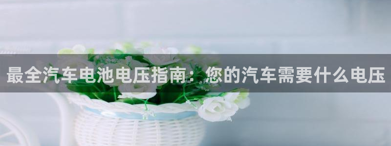 优发国际官方网手机版下载