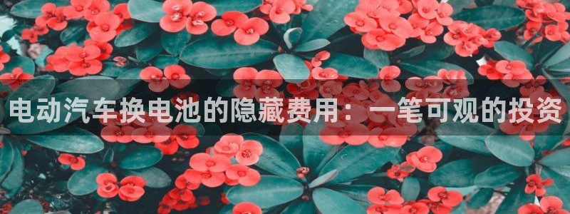 优发国际-触即发