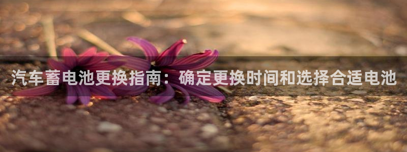 优发国际网站178