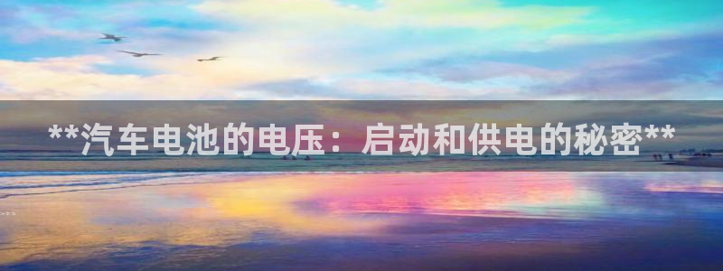 优发国际集团股份有限公司是国企吗