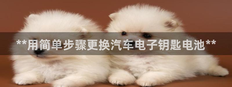 优发国际网官网17o8