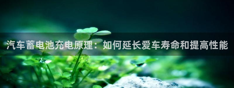 优发国际手机版下载