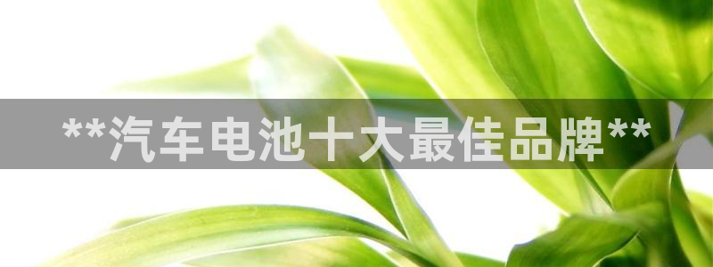 优发国际随优而动一触即发