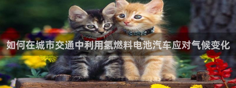 优发国际多少