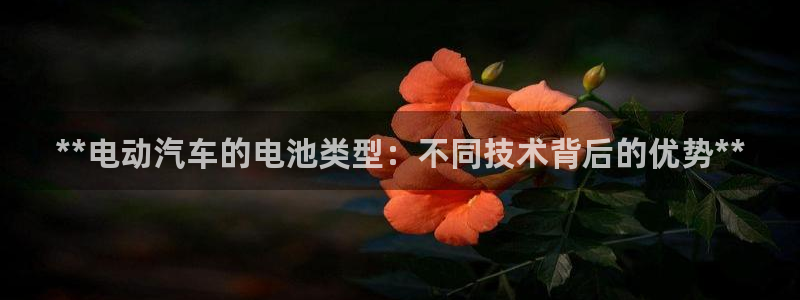 优发国际注册平台怎么样