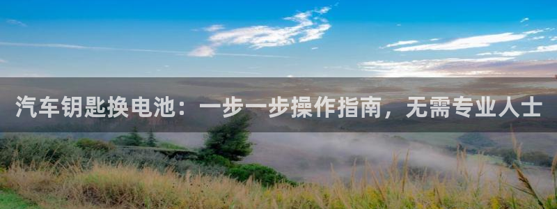优发国际平台u8是什么