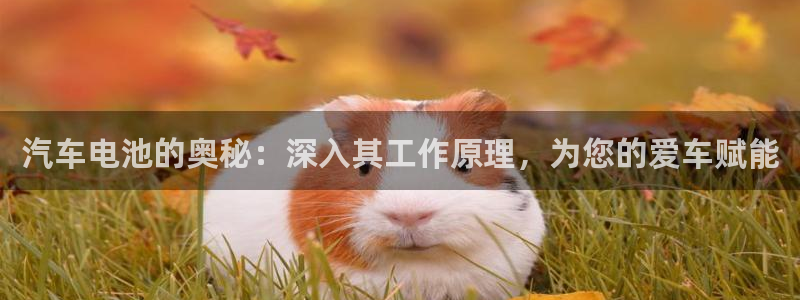 优发国际youfa
