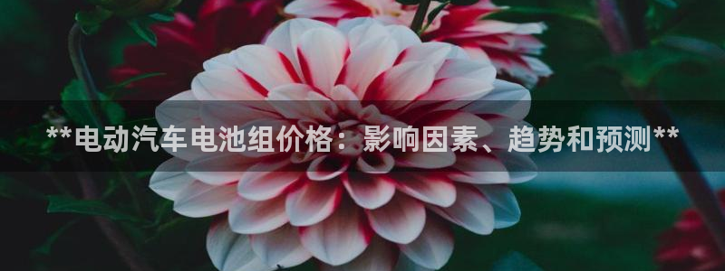 优发国际线上娱官网