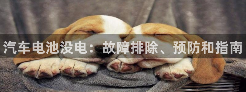优发国际网站多少