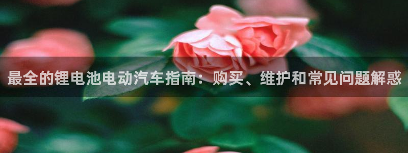 优发国际是大平台吗还是小平