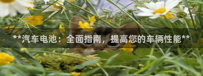 优发国际首页官网