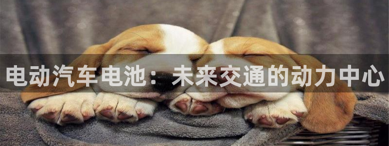 优发国际官网手机号