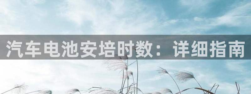 优发国际官网手机版下载