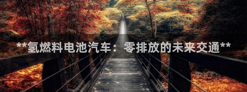 优发国际官网下载