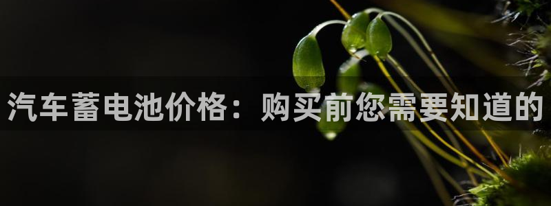 优发国际网站178