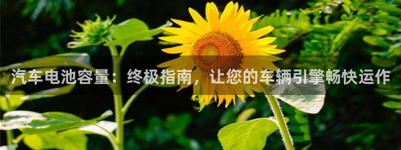 优发国际可以玩吗