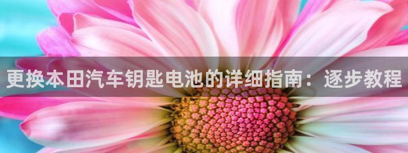 优发国际平台u8怎么样