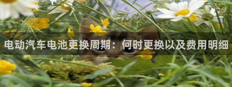 优发国际是什么