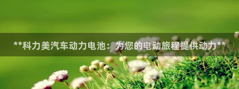 优发国际app