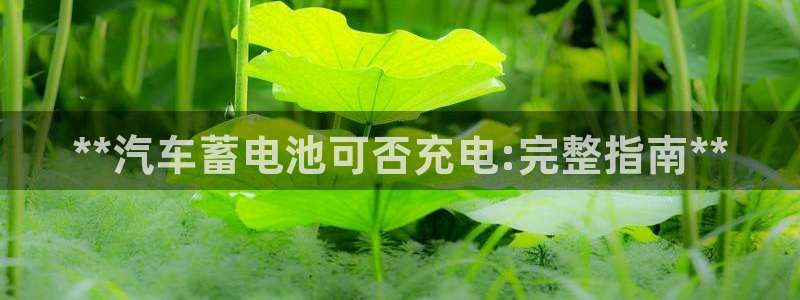 优发国际平台手机版下载