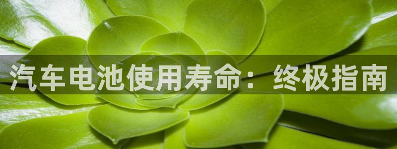 优发国际游戏官方网站入口