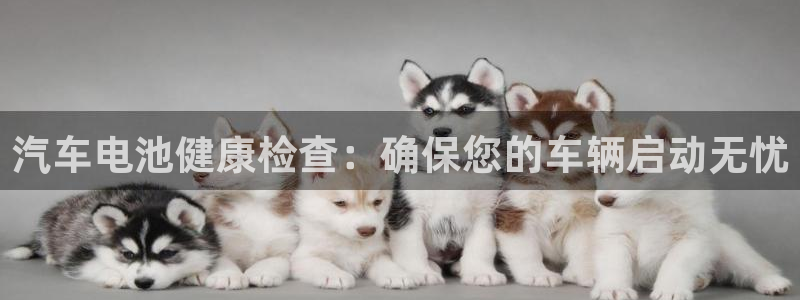 优发国际官网