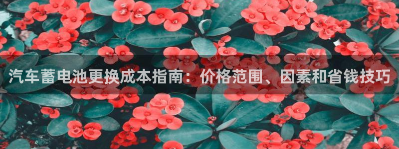 优发国际注册17