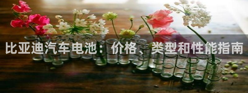 优发国际手机app下载地址