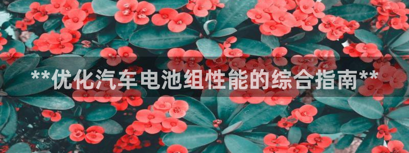 优发国际注册账号