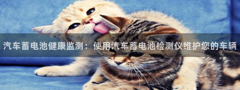 优发国际登录app