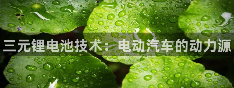 优发国际平台u8怎么样