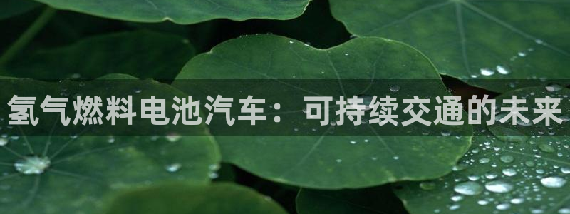 优发国际平台网站