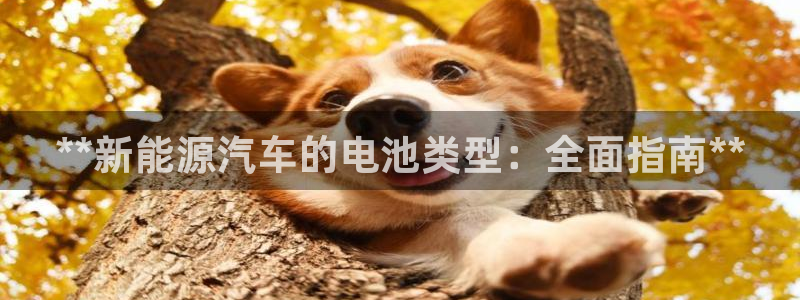 优发国际手机客户端下载安装