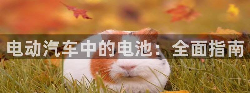 优发娱乐官网app下载