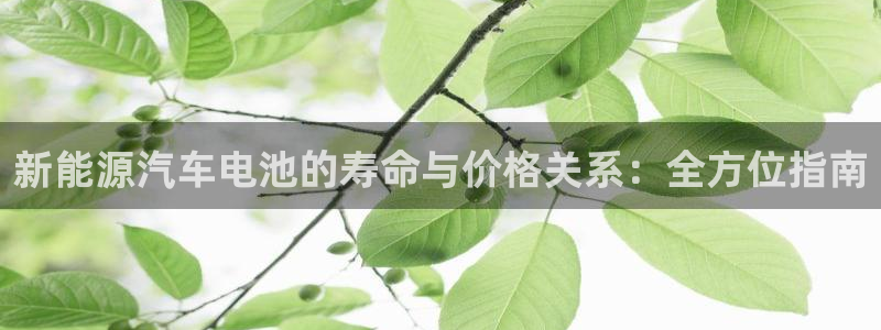 优发国际软件下载官网