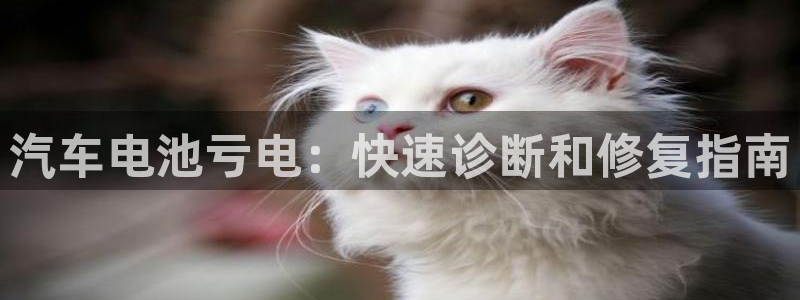 优发国际登陆