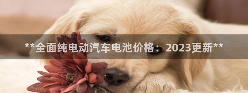 优发国际官网手