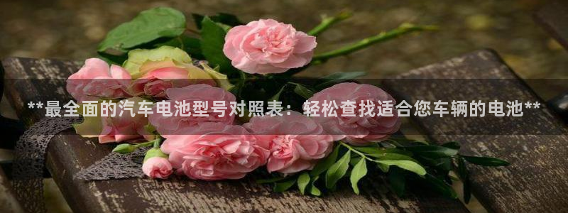 优发国际网站多少