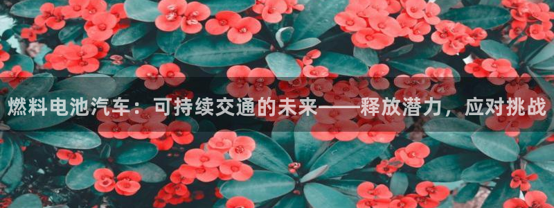 优发国际手机版唯一官网