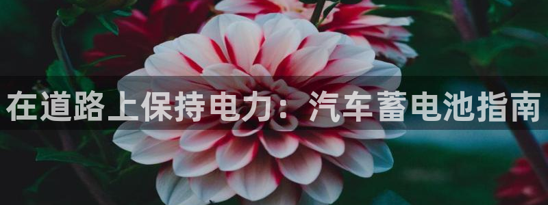 优发国际首页