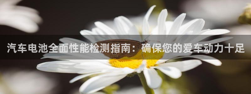 优发国际网官网